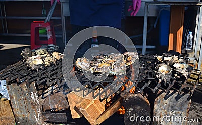 Grilled clams abalone back ground Stock Photo