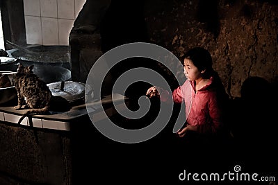 A cooking girl and cat Editorial Stock Photo
