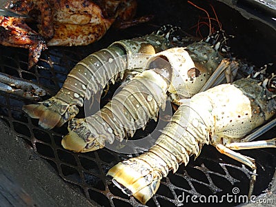 Cooking the lobster in Belize style Stock Photo