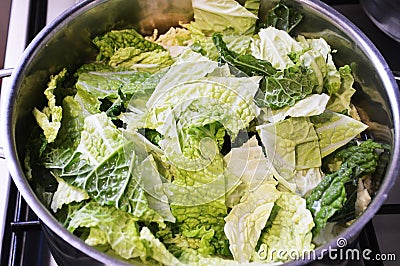 Cooking savoy cabbage in pot, healthy winter vegetable Stock Photo