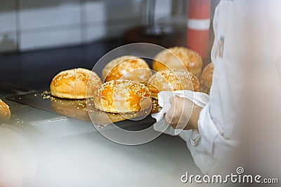 Cooking sesame buns and chef hands in the kitchen Stock Photo