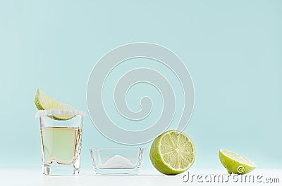 Cooking tropical summer shot drink tequila - ingredients - green lime, bowl with salt, shot glass on pastel mint background. Stock Photo