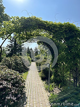 arch foto with green ivy and vines and a cobblestone path Stock Photo