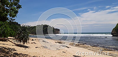 cool beach with trees, rocks, and blue sea water with fairly calm waves Stock Photo