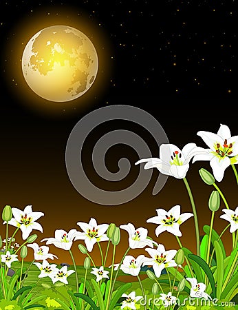 Cool Landscape Grass Hill Night View With Moonlight And White Flower Cartoon Stock Photo