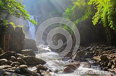 A cool refreshing waterfall in a mysterious forest with sunlight shining through the lavish greenery Stock Photo