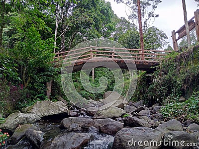 Cool stone bridge river morning Stock Photo
