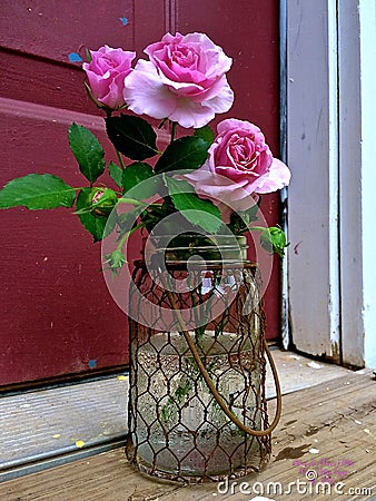 Trio of Pink `Lavender Simplicity` Roses in a Chicken-Wire Covered Jar Stock Photo