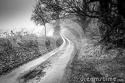 Coountryside scene of a road in black and white Stock Photo