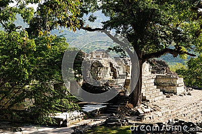 Copan Mayan ruins in Honduras Stock Photo