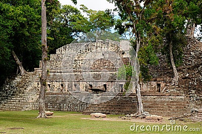 Copan Mayan ruins in Honduras Stock Photo