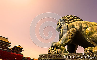 Copper lion in the sunset Stock Photo