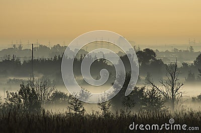 Coppice in the morning mist on the outskirts of the city Stock Photo