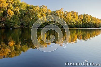 The Coppice Pond, Bingley St Ives Stock Photo