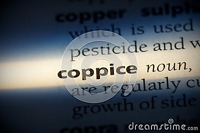 Coppice Stock Photo