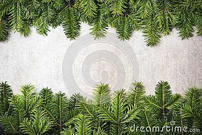 Copy space Christmas green fir background Stock Photo