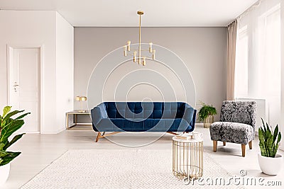 Copy space living room interior with a dark blue couch, a gray armchair and gold accents. Real photo. Stock Photo