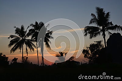Copy space of silhouette tropical coconut palm tree with sun light on sunset sky background Stock Photo