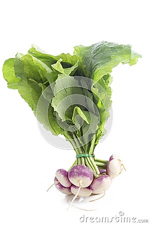 Copy space for sustainable agriculture and vegetarian food with imperfect organic turnips, fresh green tops and roots Stock Photo