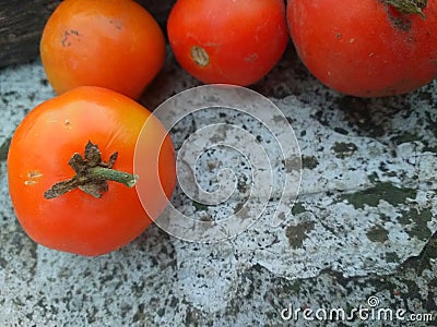 Copyspace fress organic tomatoes Stock Photo