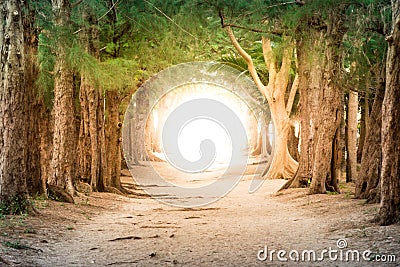 Copyspace photo show pathway to business success and total freed Stock Photo