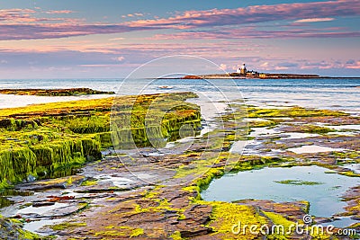 Coquet Island of Low Hauxley Coastline Stock Photo