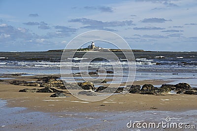 Coquet Island. Stock Photo