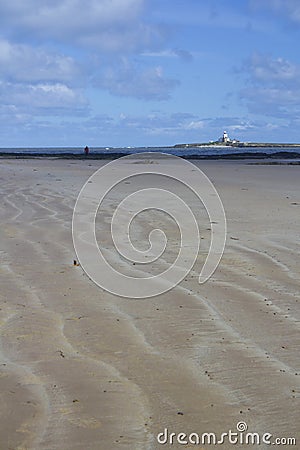 Coquet Island. Stock Photo