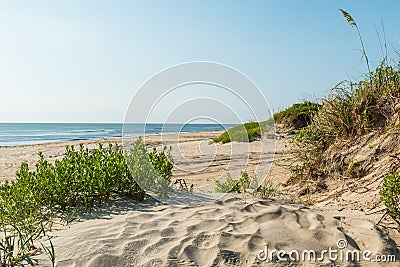 Coquina Beach on the Outer Banks in Nags Head Stock Photo