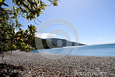 Coral Beach Stock Photo