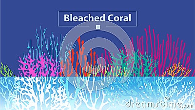 Coral Bleaching occurs rising sea temperatures Vector Illustration