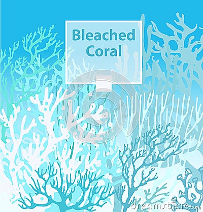 Coral Bleaching occurs rising sea temperatures Vector Illustration