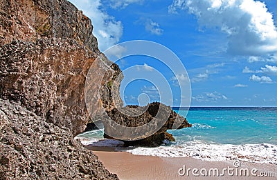 Coral at Bottom Bay Beach, Barbados Stock Photo