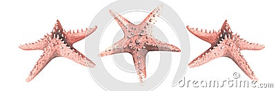 Coral-colored starfish in different angles. Watercolor illustration. Isolated objects from a large set of WHALES. For Cartoon Illustration