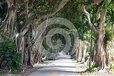 Coral Gables FL Stock Photo