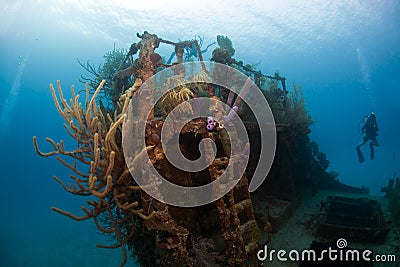 Coral gardens on shipwreck Stock Photo