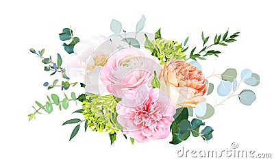 Coral juliet garden rose, pink ranunculus, peony, green hydrangea, eucalyptus Vector Illustration