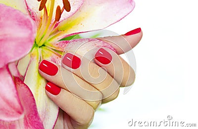 Coral nails. Stock Photo