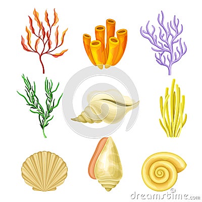 Coral Polyps and Seashell as Marine Fauna Vector Set Vector Illustration