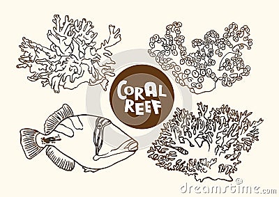 Coral reef fish and corals vector contour drawing Vector Illustration