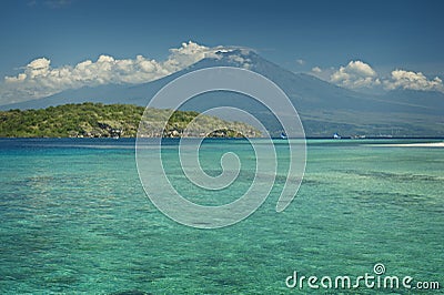 Coral Reef, Menjangan Island Stock Photo