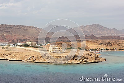 A coral reef off the coast of the Sinai Peninsula Editorial Stock Photo