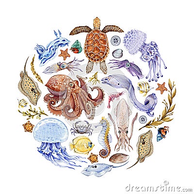 Coral reef sea animals watercolor illustrated round. Hand drawn beautiful octopus, sea turtle, coral fish, seaweed arrangement. Stock Photo