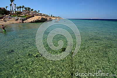 Coral reef. Sharm El Sheikh. Red Sea. Egypt Editorial Stock Photo