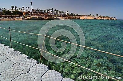 The coral reef. Sharm El Sheikh. Red Sea. Egypt Editorial Stock Photo