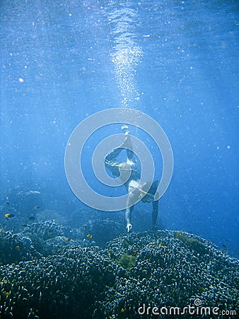 Coral reef snorkeling Stock Photo