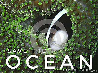 Save The Ocean design to help protect coral reefs simply by leading a more sustainable lifestyle. Stock Photo