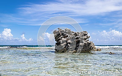 Coral rock in crystal clear waters of San Andres Stock Photo