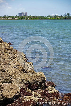 Coral rocks on Biscayne Bay Miami Florida Stock Photo