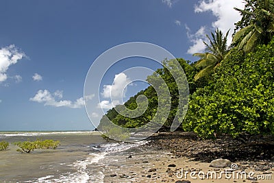 Coral Sea meets Daintree Rainforest Stock Photo